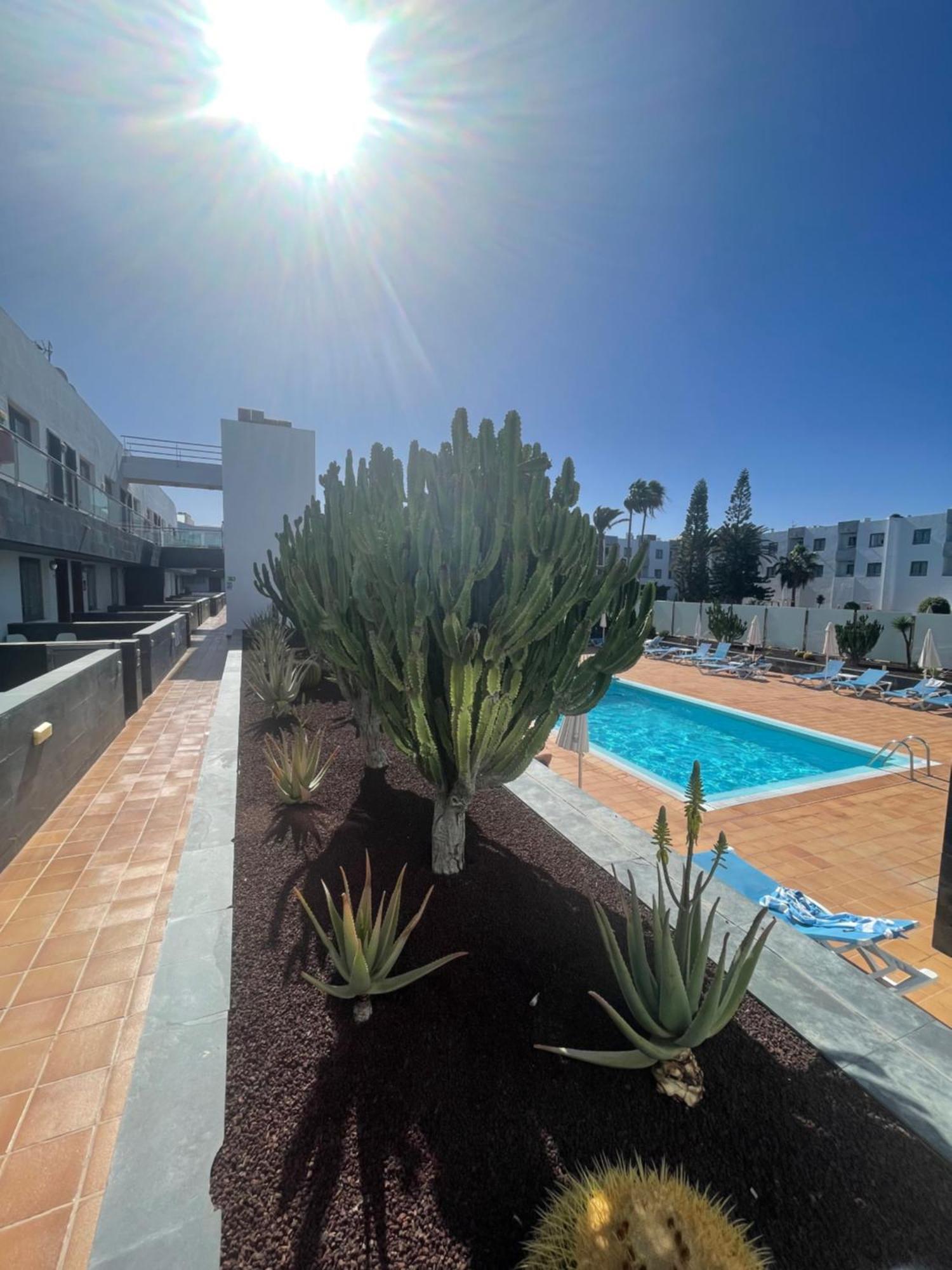 Sunrise Corralejo Apartment Bagian luar foto